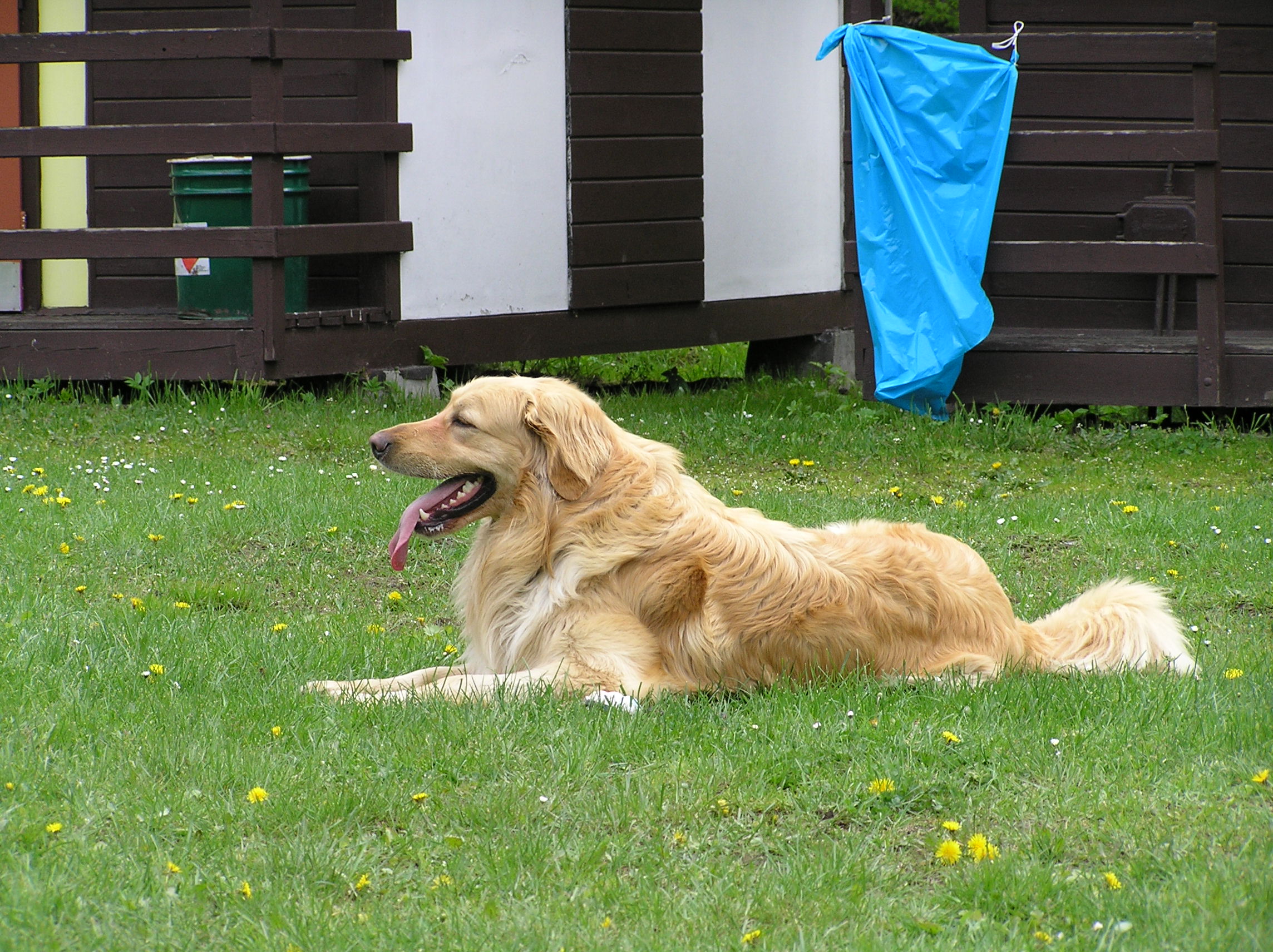 P1010053.JPG